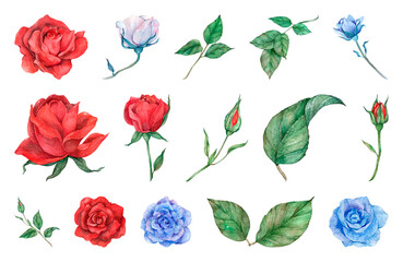 Obraz premium PNG Vibrant watercolor roses and leaves on transparent background