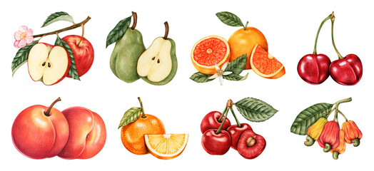 Obraz premium PNG Vibrant watercolor fruits illustration on transparent background