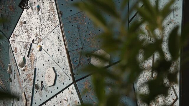 Outdoor dry wooden ice climbing wall, smooth slow motion pan from plants to the wall with grips and holds for ice climbing.