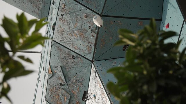 Outdoor dry wooden ice climbing wall, smooth slow motion pan from plants to the wall with grips and holds for ice climbing.