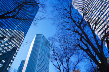 冬空と高層ビルの仰ぎ景色 © kanzilyou