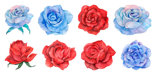 PNG Vibrant watercolor roses collection on transparent background © Rawpixel.com