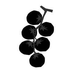 PNG Minimalist black tomato vine illustration, transparent background © Rawpixel.com