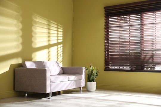 Sun shining through window blinds, sofa and houseplant near green wall indoors