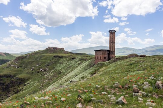 Ancient Minaret Ruins of Ani Among Spring Wildflowers, Kars Turkey