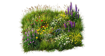 Isolated wildflower patch, lush summer meadow blooms, tall grass plants, scenic herbal groundcover © Design Zone