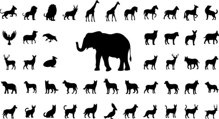 Fototapeta premium Collection of various wild animal and domestic pet black silhouettes vector graphic icons set
