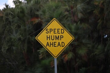 Speed hump ahead sign © Alina