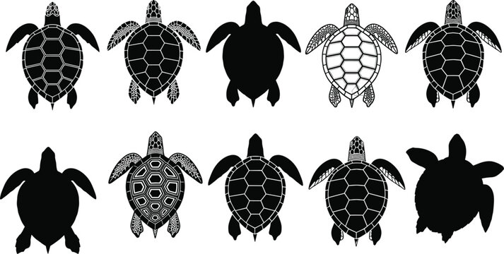Collection of sea turtle silhouettes and detailed shell patterns isolated on white background featuring various marine species for conservation and ocean themed design