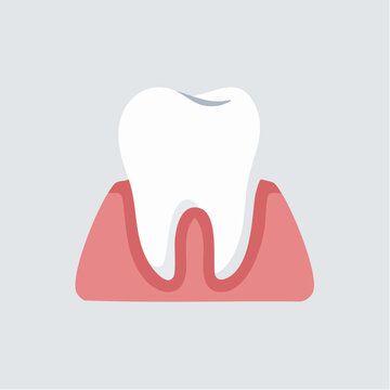 Anatomy of a healthy tooth structure.