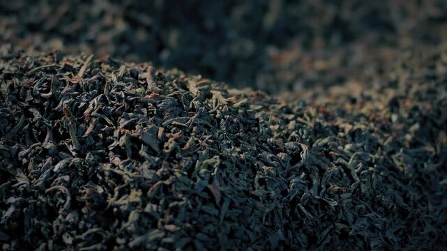 Dried Black Tea Pile Short Focus Moving Shot

