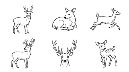 Fototapeta premium deer, Hand-drawn outline doodle sketches vector set collection , white background , PNG and SVG isolate
