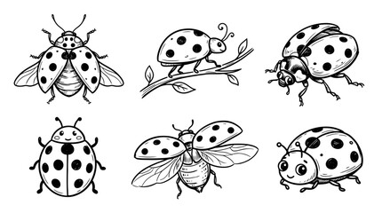 Fototapeta premium ladybug, Hand-drawn outline doodle sketches vector set collection , white background , PNG and SVG isolate