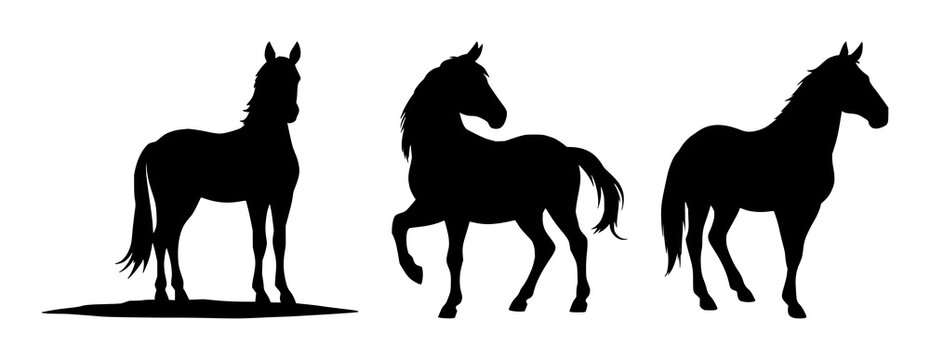 Leatherwork stitching pony set with solid black silhouette on white background featuring professional, artisan, craft trade with leatherwork and stitching