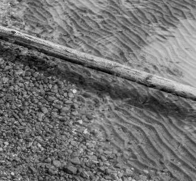 Canada, Alberta, Hinton.  Abstract composition of fallen tree, beach and water ripples at Fickle Lake