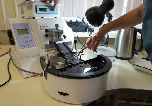 A technician operates a Thermo Scientific HM340E rotary microtome in a histology laboratory. The device slices paraffin embedded tissue blocks into thin sections for microscope slides.  