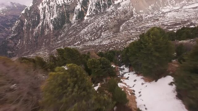 High Angle Aerial View of aPine Forest on a Rocky Moutain Slope with Snow