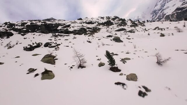 Low Angle Aerial View of a Snowy Mountain Slope with parse Trees and Rocks