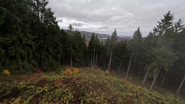 Moody Aerial View of Fog Riing from Autumn Forest ove a Winding River Valley