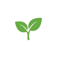 Fototapeta premium Simple minimalist green leaf icon or logo element, representing natural growth, fresh organic produce, eco-friendly concepts, and sustainable agriculture symbols