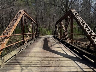 Rustic Steel Truss Bridge with Wooden Deck in Forest