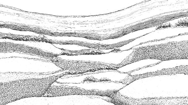 Black and white ink of terraced hillsides with textured vegetation and stone walls