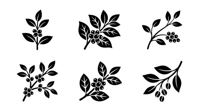 collection of coffee bean branch, 6 filled black minimal icon vector set , white background , PNG and SVG isolate