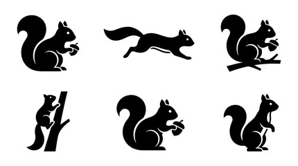 Fototapeta premium collection of squirrel, 6 filled black minimal icon vector set , white background , PNG and SVG isolate