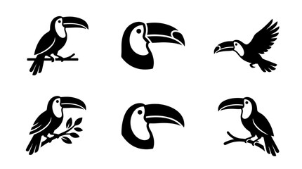 Fototapeta premium collection of toucan, 6 filled black minimal icon vector set , white background , PNG and SVG isolate