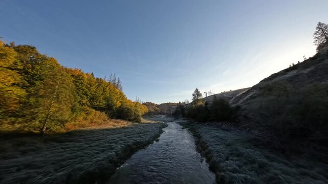 Moody Autumn Forest Valley with Fog and a Winding Stram at Dawn