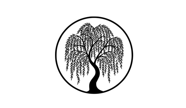 Elegant willow tree silhouette in circle vector minimalist nature emblem design