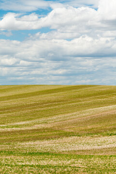 Canada, Saskatchewan, Shaunavon.  Recently harvested wheat field beside Hwy 13.