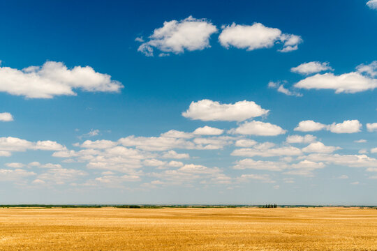 Canada, Saskatchewan, Regina.  Big sky over the great plains.