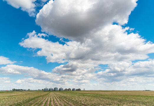 Canada, Saskatchewan, Regina.  A line of steel storage bins and equipment sheds along the horizon in the great plains of the Canadian prairies.
