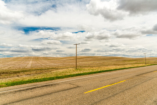 Canada, Saskatchewan, Biggar.  Road, power pole, and wheat fields beside highway 4.