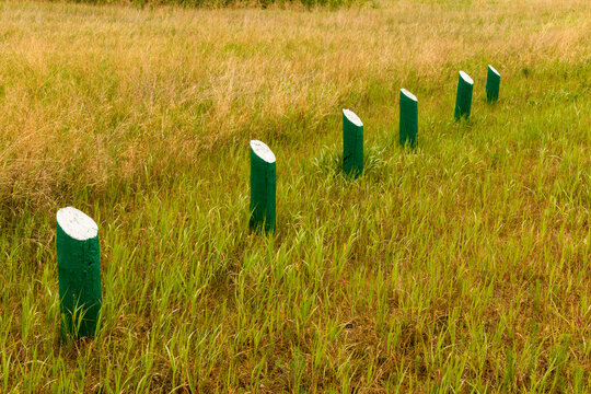 Canada, SK, Lloydminster, Manitou Lake.  A line of posts in the ground in Big Manitou Regional Park.
