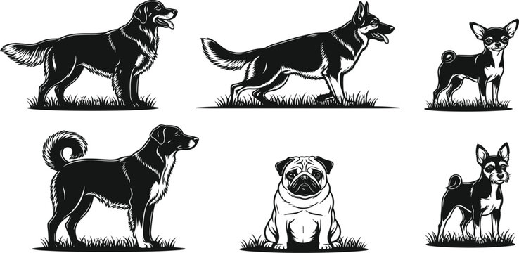 Set of black and white dog silhouettes in various poses, hand drawn woodcut style canine breed icons isolated on white,