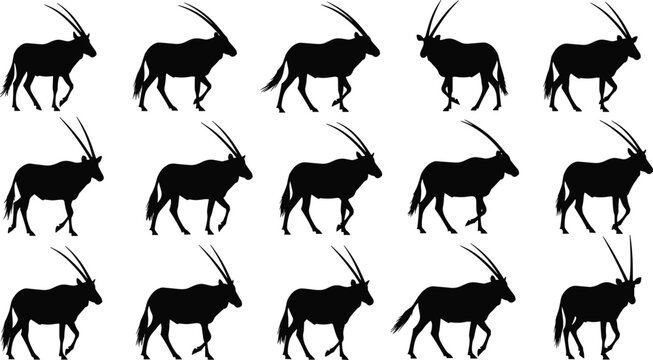 Set of black antelope silhouettes featuring various walking and standing poses with long curved horns isolated on white background vector.