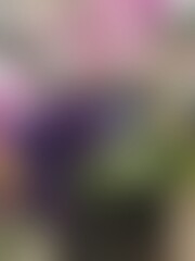 Soft organic gradient background with electric purple and emerald green orchid tones for wellness branding