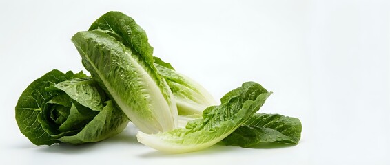 Fototapeta premium Fresh romaine lettuce leaves isolated on white background for healthy cooking and salad preparation.