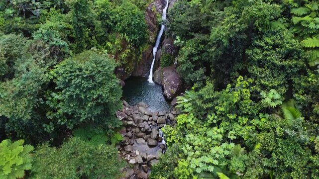 Waterfall at Yunque Rainforest surrounded by plats and trees