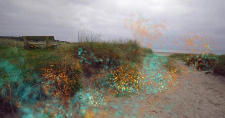 Naklejka premium Showing grassy sand dune occupying center at coast access, with wooden bench, sparkling overlay