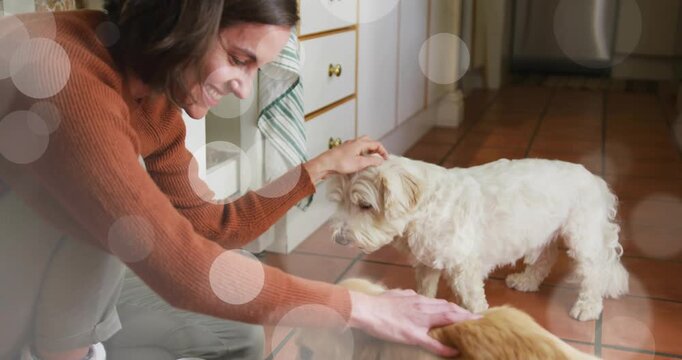 Woman kneeling pet care reaching dog, causing sniffing, petting, guiding tan to bowl with bokeh