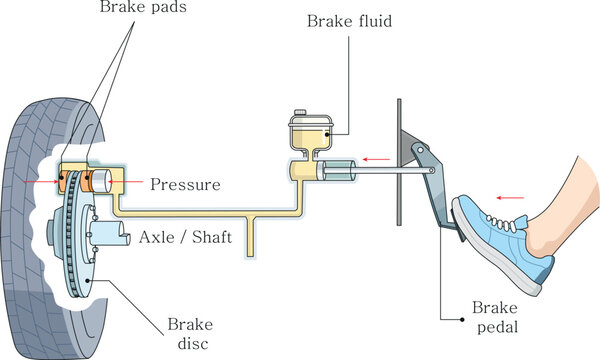 Hydraulic Brake System Diagram with Pedal and Caliper Vector