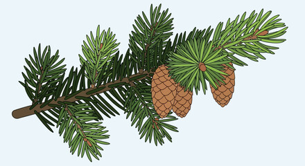 Pine Branch with Cones: Evergreen Nature, Forest Detail, Seasonal Flora © Diplomat