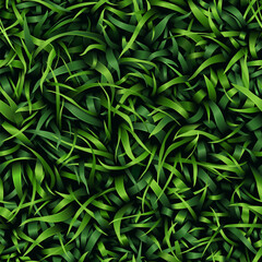 Fototapeta premium Grass seamless pattern. View from above. Vector eps10 illustration. Natural green lawn texture background for design and decoration. Top view.
