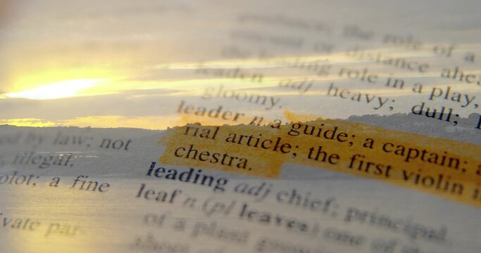 Showing highlighted dictionary entry leader on flat page in macro, with yellow mark and light flare