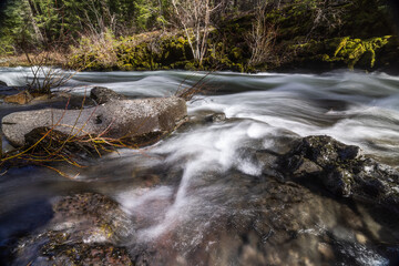 Fototapeta premium Rogue River above Union Creek, Oregon rushes over jagged stones. Mossy banks glow in golden sunlight. Nature's force moves through rocky terrain.