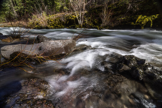 Rogue River above Union Creek, Oregon rushes over jagged stones. Mossy banks glow in golden sunlight. Nature's force moves through rocky terrain.