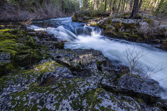 Rogue River above Union Creek, Oregon rushes over jagged stones. Mossy banks glow in golden sunlight. Nature's force moves through rocky terrain.